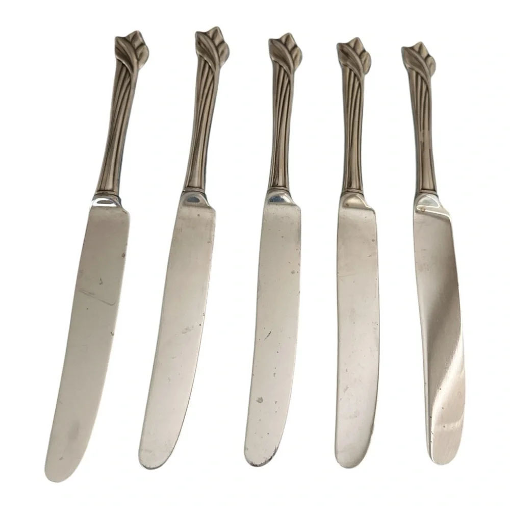 Oneida Stainless Steel Leander Dinner Knives Set of Five